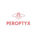 Peroptyx Remote Hiring 2025 | Data Analyst Role | Freshers | Work From Home